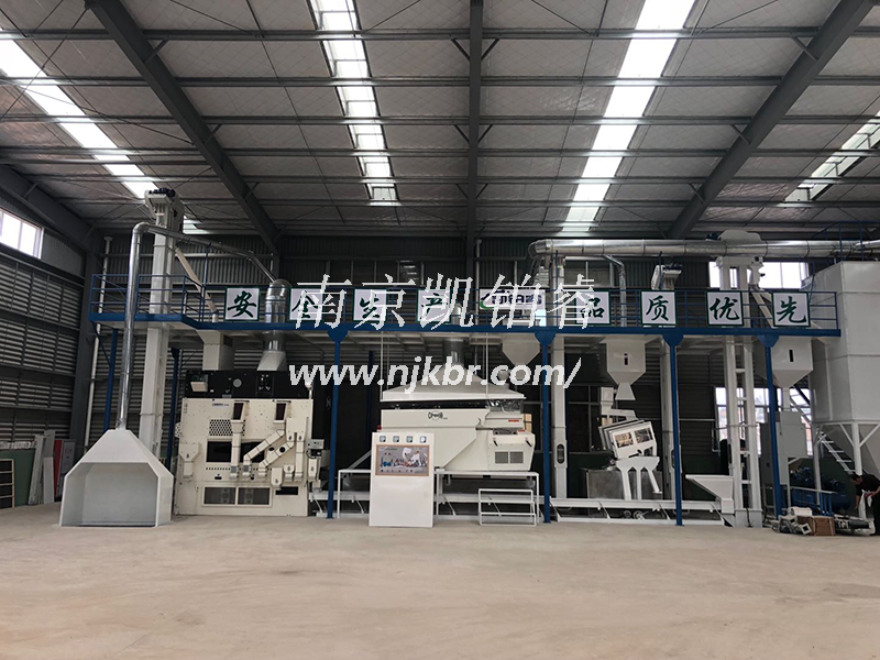 福建禾豐種業(yè)  
